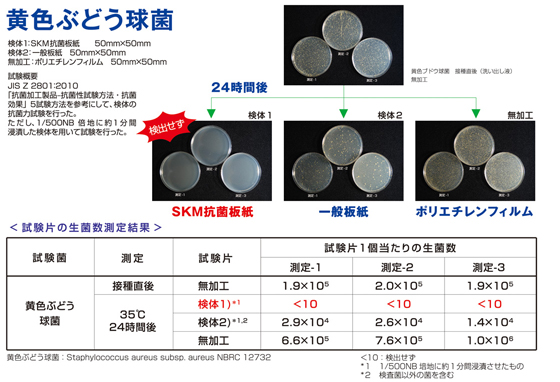 黄色ブドウ球菌